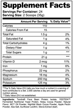 Plant Protein Chocolate - 21g Complete Vegan Protein